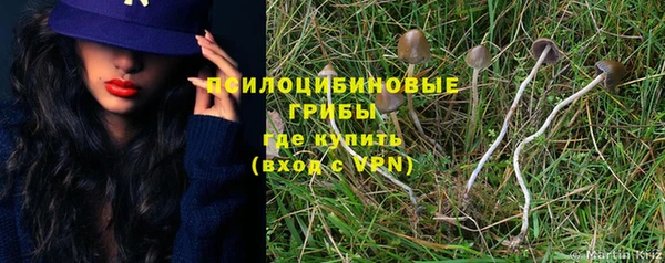 хмурый Алексеевка