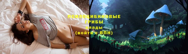 прущая мука Алзамай