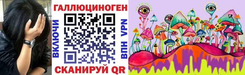где купить Апшеронск Псилоцибиновые грибы ЛСД